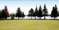 Fox Run Golf Course image 1