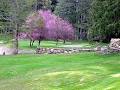 Galiano Golf & Country Club image 2