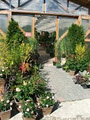 Giardino of Penticton Ltd. image 3