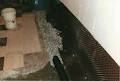 Gord's Basement Waterproofing Ltd image 2