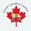 Great Canadian Canines: Dog Training & Behaviour Consulting image 2