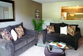 HOME STAGING: Another Perspective Home Staging (APHS) image 3