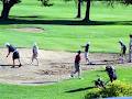 Hawkesbury Golf & Curling image 5