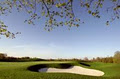 Innisbrook Golf Course‎ logo