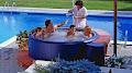 Island Hot Tubs & Pools image 1