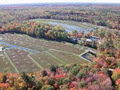 Johnston's Cranberry Marsh image 2
