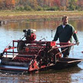 Johnston's Cranberry Marsh image 1