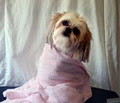 Julie's K9 Day Spa image 1