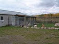 Kozy Kennels image 5