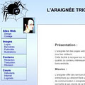 L'araignee tricote le Web - sites, contenu, images, cours d'ordinateurs. image 2