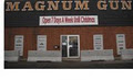 Magnum Guns image 2
