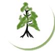 Majestic Cedars Childcare Centre logo