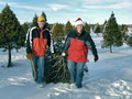 Mason Family Farm Christmas Trees image 2