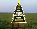 Mason Family Farm Christmas Trees image 3
