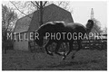 Miller Photography image 4
