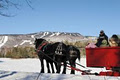 Mont Tremblant Activity Centre image 4