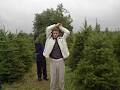 Murphy's Christmas Tree Farm image 1