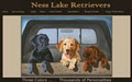 Ness Lake Retrievers image 1