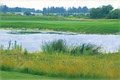 Oliver's Nest Golf Club image 3