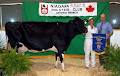 Ontario Branch Of Holstein Canada image 3