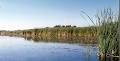 Otonabee Region Conservation Authority image 5