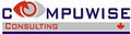 Ottawa Computer Repair - Compuwise Consulting logo