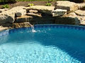 Paradise Pools & Landscaping image 5
