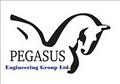 Pegasus Engineering Group Ltd. logo