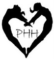 Port Hope Hearts Gymnastics Club image 3