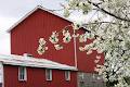 Red Barn Fruit Farm image 2