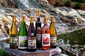Rocky Creek Winery image 1