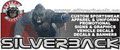 SILVERBACK image 4