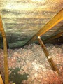 Safehouse Home and Mold Inspections image 4