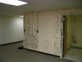 Safehouse Home and Mold Inspections image 5