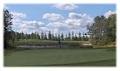 Sally Creek Golf Club image 1