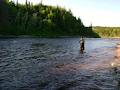 Salmonid Association Of Eastern Newfoundland image 6