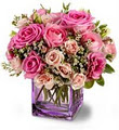 Send Christmas Centerpiece Flowers Gifts Gourmet Baskets Vancouver & Worldwide image 4