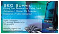 Seo Sophie Local Online Marketing image 3