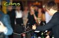 Services de bar Citrus image 2
