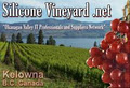 Silicone Vineyard Network image 1