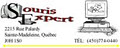 Souris Expert logo