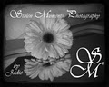 Stolen Moments Photography by Jadie logo