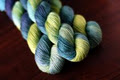 SweetGeorgia Yarns image 1