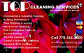 TOP CLEANING SERVICES logo