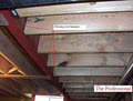 The Professional Home and Building Inspectors image 6