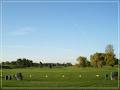 Trafalgar Golf & Country Club image 1
