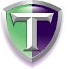 TwinBytes Inc logo