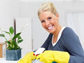 Va-Va Broom! Cleaning Services logo