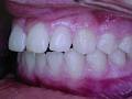 Wellington Dental Clinic image 2
