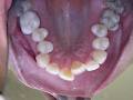 Wellington Dental Clinic image 3